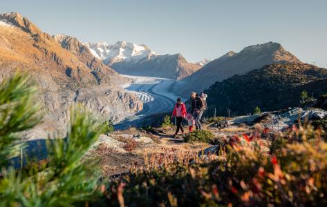 © aletscharena.ch – Christian Pfammatter